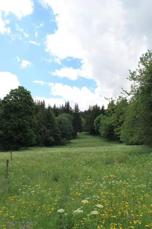 Chalet Les 5 Sapins Les Allues
